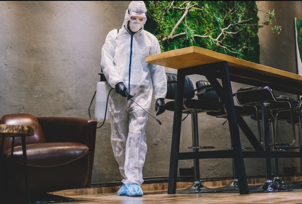 Pest Control for Commercial Spaces